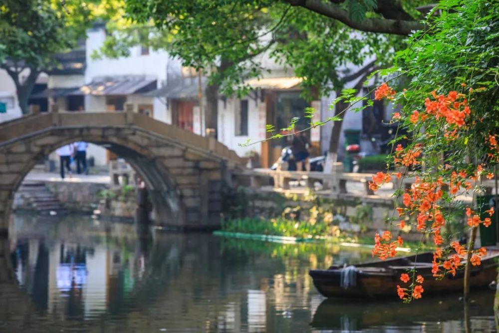 拯救蓝色小鸟